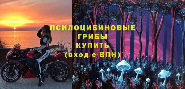 соль ск Алзамай