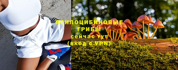 ешки Абинск