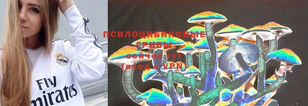 прущая мука Алексеевка