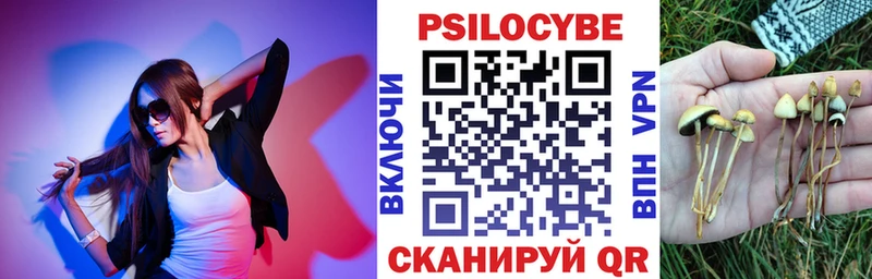 дарнет шоп  Вытегра  Галлюциногенные грибы MAGIC MUSHROOMS 